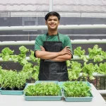 How to Start Hydroponic Vegetables at Home