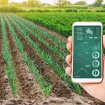 Use of Drones and AI in Agriculture Farming