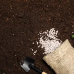 How to Start Organic Farm Business Step-by-Step