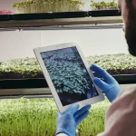 Use of Drones and AI in Agriculture Farming