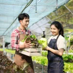 Organic Farming Techniques for Healthy Crops