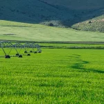 Water Saving Techniques in Drip Farming