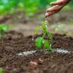 Drip Irrigation System Benefits for Farmers