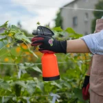 Benefits of Rainwater in Crop Production