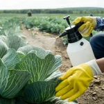 Common Crop Diseases and Their Solutions