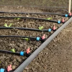 Rainwater Harvesting for Agriculture Use