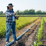 Vermicomposting Guide for Beginners