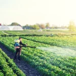 Best Chemical Sprays for Crop Protection