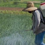 Best Chemical Sprays for Crop Protection