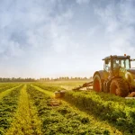 How to Start Farming Business with Low Investment