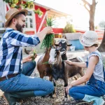 How to Start Farming Business with Low Investment