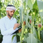 Best Timing for Selling Agricultural Products
