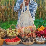 Small Farm Ideas for High Profit