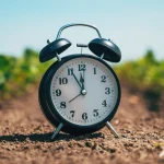 Agricultural Export Business Guide for Beginners
